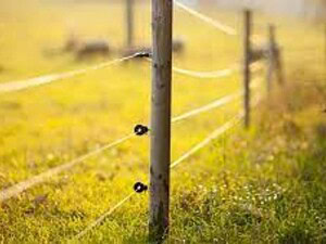 Electric Fencing Gold Coast